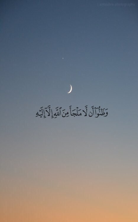 elmalabnews's tweet photo. الآيه دي مريحة جداً ♥️♥️ https://t.co/Qk20AXzK06