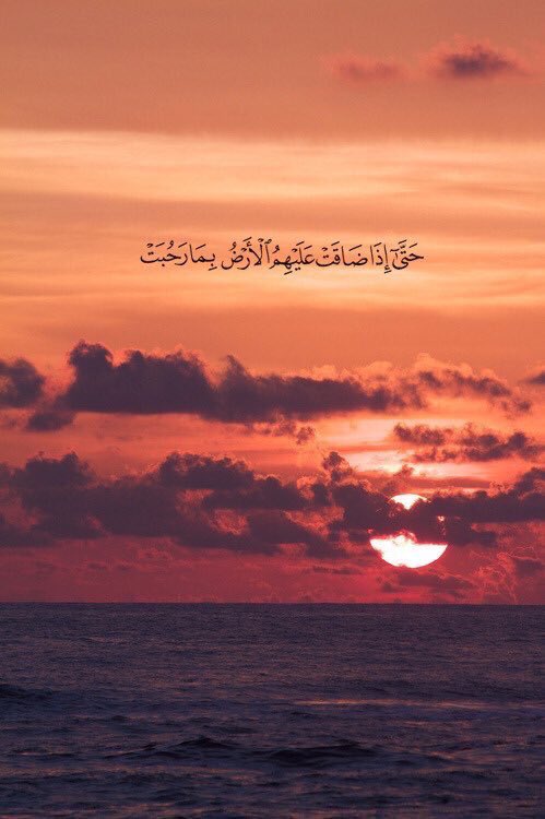 elmalabnews's tweet photo. الآيه دي مريحة جداً ♥️♥️ https://t.co/Qk20AXzK06