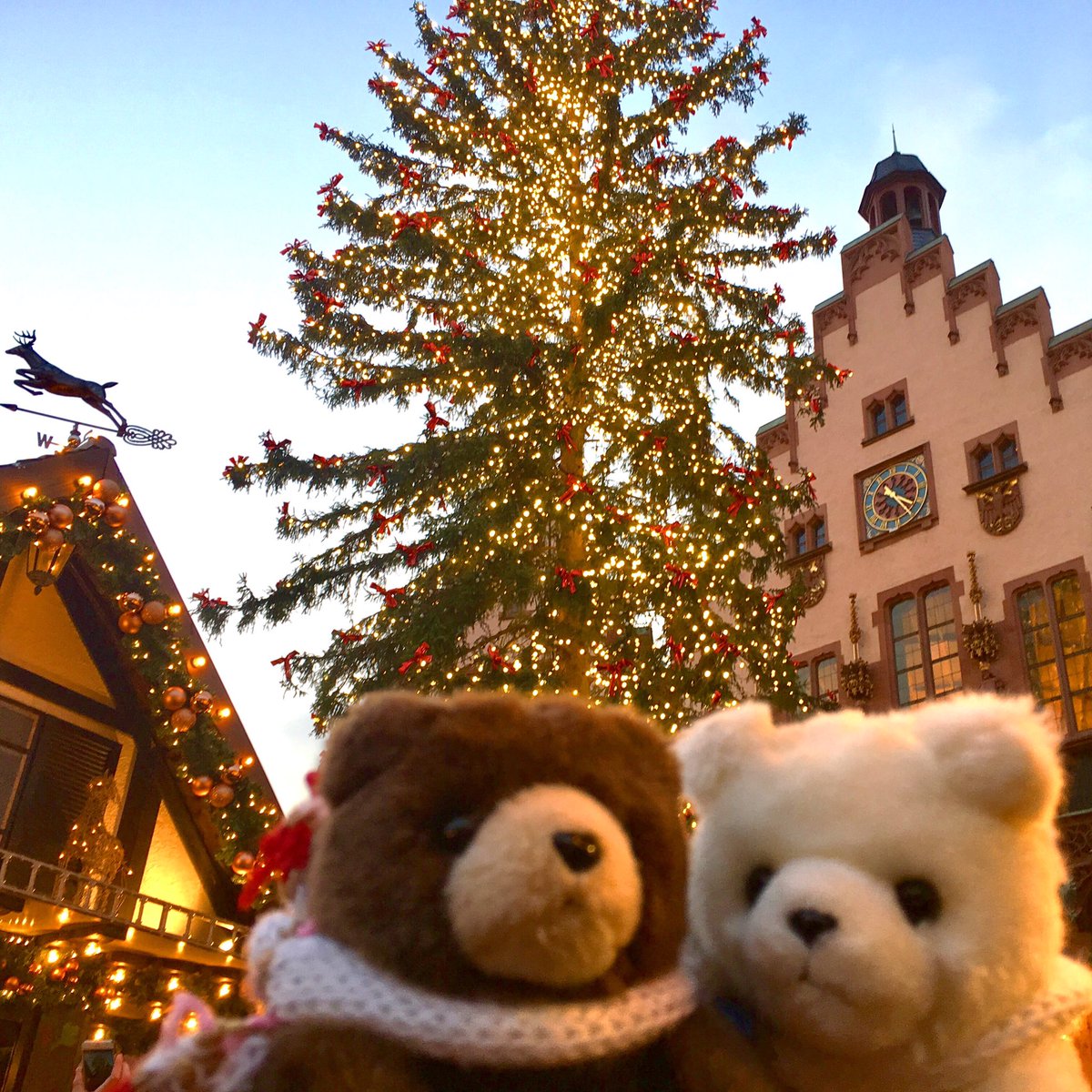 Maya_chan13's tweet photo. ツイッターをわすれていた！どいつにいった！ https://t.co/T6opXMUPkv