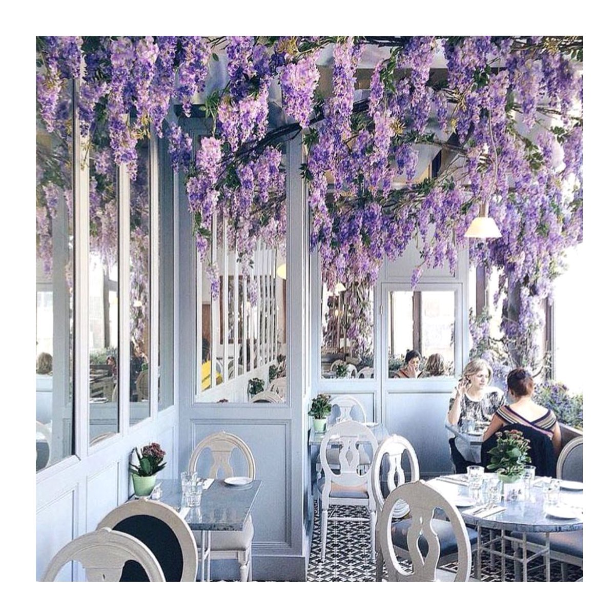 Vamp_London's tweet photo. Breakfast with this beautiful floral view 🌸 🌺 Clearance ends soon 💥 ✂️| https://t.co/FTJDmM9ph6 👈 #mondayvibes #mondaymorning #morningcoffee https://t.co/Nx2t3FuBSe