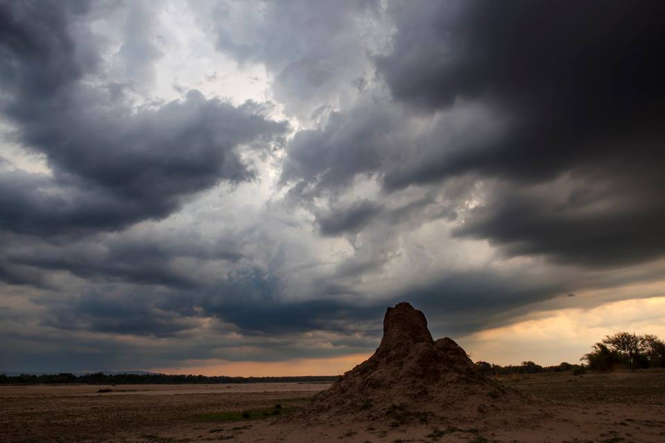 What a spectacular South Luangwa sky! Spectacular!

Photo by Bushcamp Company guest, Brian Matthews. 

bit.ly/2qMivPe #safari #Zambia #travel