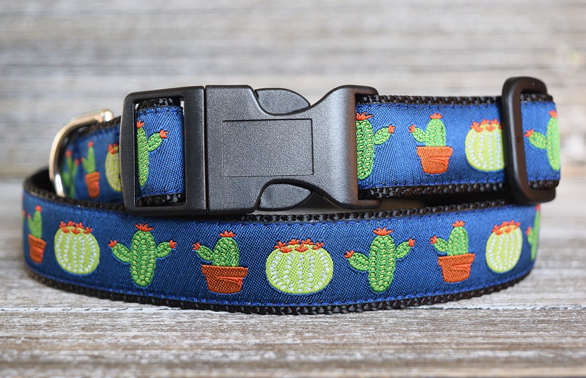 rosecitypup's tweet photo. Dog collars for medium to X-Large dogs have arrived on our new site! https://t.co/q2r65KwDci
#dogsoftwitter #doggo #dogsofinstagram #dogcollar #SmallBiz #shopsmall https://t.co/NuAy6zp7Ee