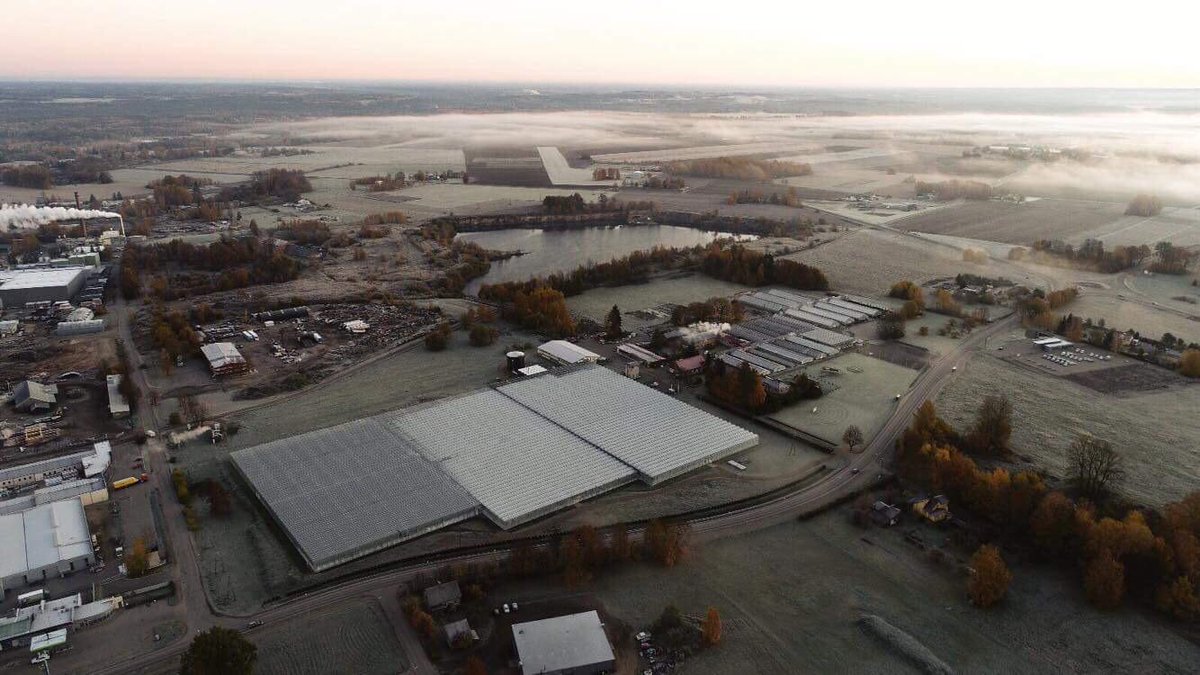 Kādā skaistā rudens rītā. No putna lidojuma ir redzama mūsu saimniecība!