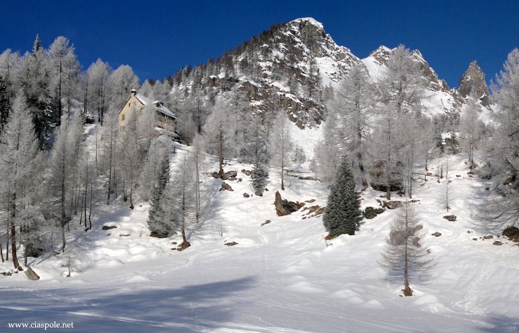 ciaspolenet's tweet photo. al rifugio #Crosta, alpe #Solcio, sopra #Varzo sulla strada per il passo #Sempione: praticabili, fino a nuove nevicate, diversi percorsi
https://t.co/Rv7gJb3cp0
@UncemPiemonte @piemonteparchi @piemonteparchi @RifugiPiemonte https://t.co/sDU9UtjH4d