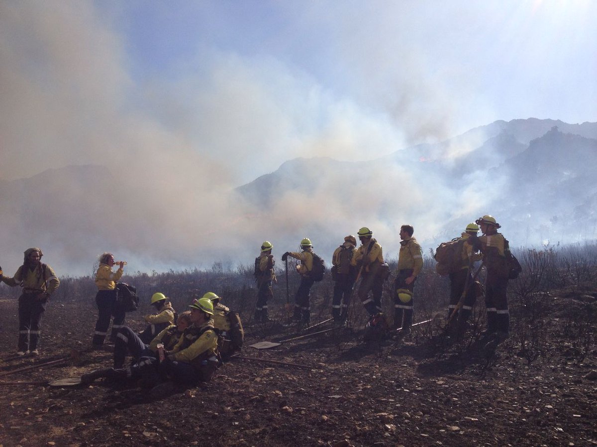 vwsfires's tweet photo. It's been a busy few days with 12 crews dispatched to #CaledonFire, #AlbertiniaFire, #VilliersdorpFire, #OceanViewFire and patrol for #TokaiFires🔥🚒
Thanks to all #VWS volunteers for their time and the public for the kind messages of support over the last few days! 😊👍 https://t.co/6HB3Xq5gcM