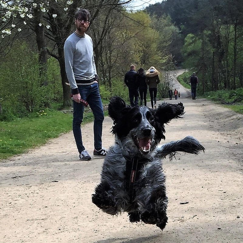 It’s #BlueMonday – apparently the most depressing day of the year?! So… we are brightening your day with lots of happy supporter images sent in to us as a part of our Spring Wag comp! Here we go.... we’re turning #BlueMonday YELLLOW! 💛🐶 #yellowmonday