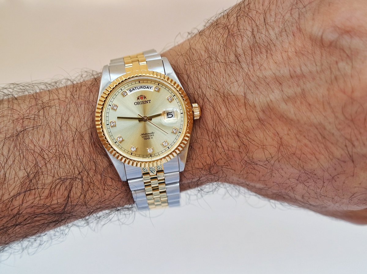 orient oyster presidential