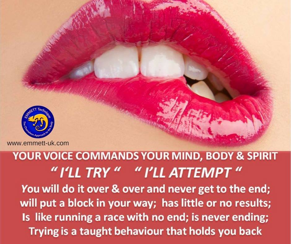 Words are so important to #EMMETT practitioners and their clients. Try is not a great word for making progress.