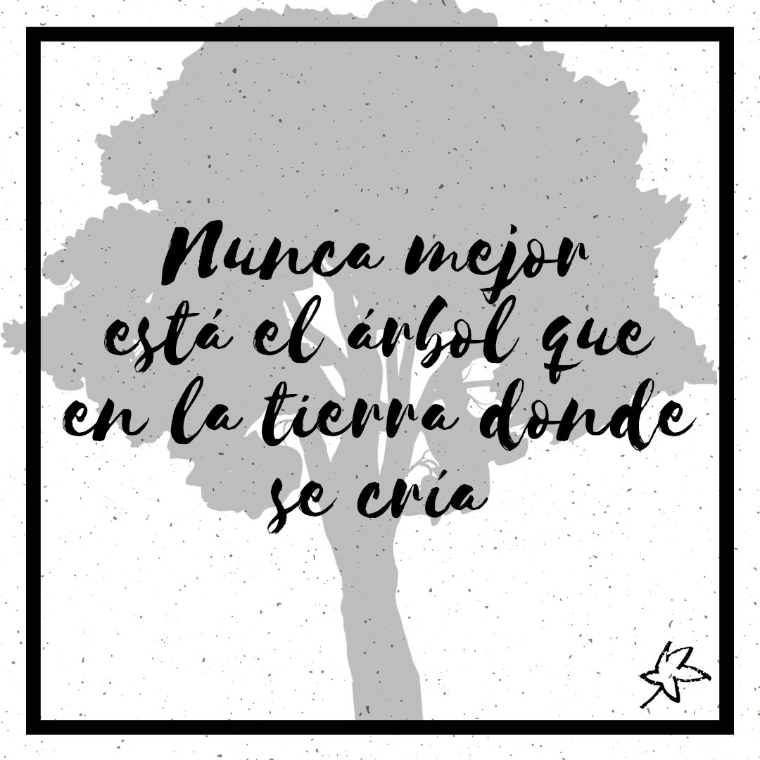 MajofesaMaderas's tweet photo. No hay nada mejor como la #tierra donde nos #criamos, si cuidamos de los #árboles ellos nos lo agradecerán.💚🌲 https://t.co/gFlFjs5fHk