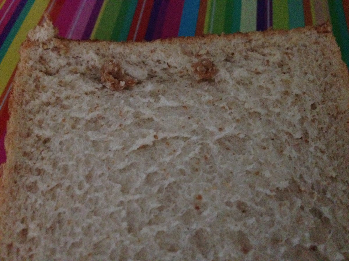 loved finding weird brown sticky lumps on every slice of my <a href="/hovisbakery/">Hovis Bakery</a> bread.....