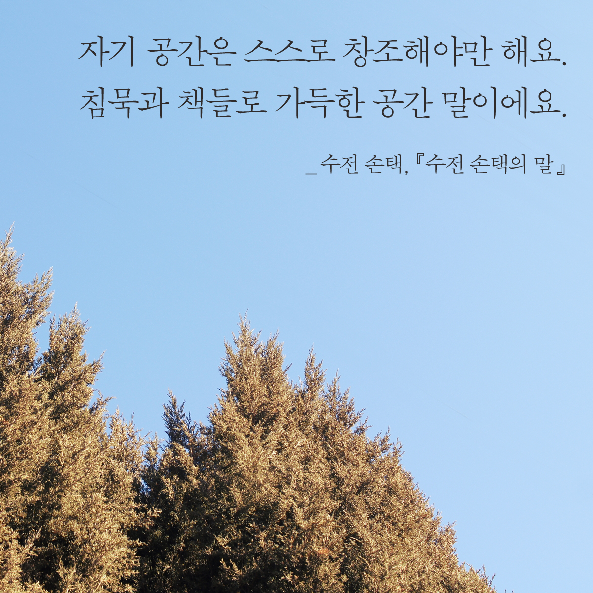 maumsanchaek's tweet photo. 자기 공간은 스스로 창조해야만 해요.
침묵과 책들로 가득한 공간 말이에요.

_수전 손택, 『수전 손택의 말』 https://t.co/QvxQweUg8s