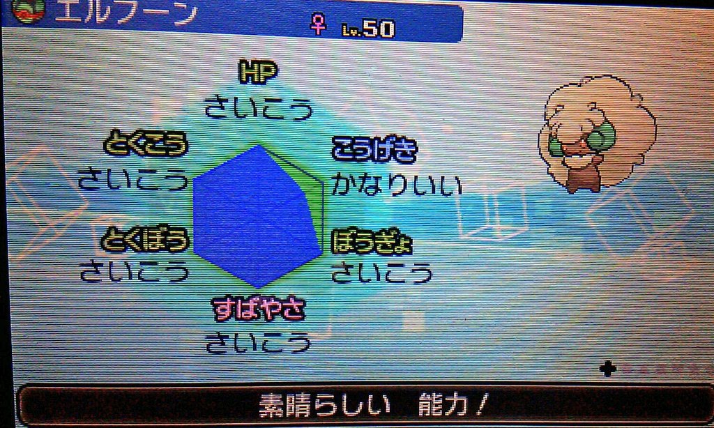 ポケモントレーナー Pokemonhamatta Twitter ポケモントレーナー Pokemonhamatta Twitter