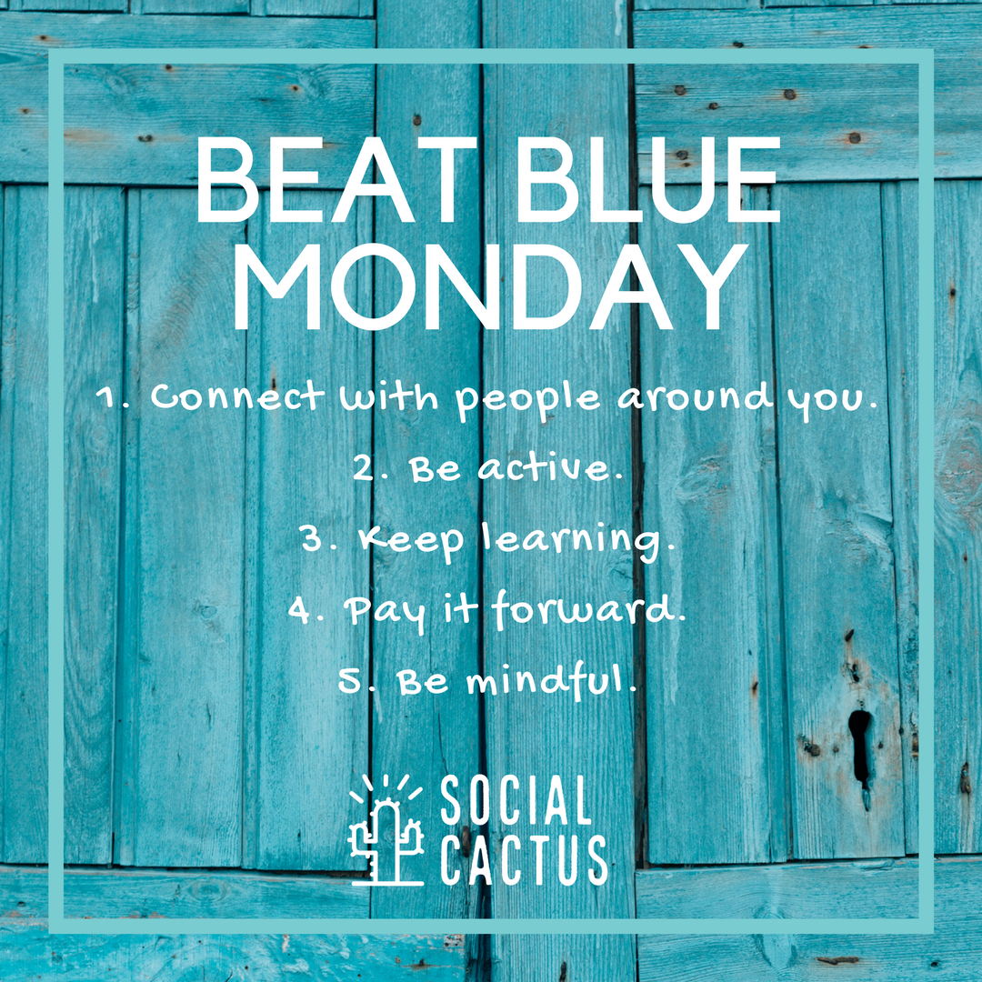 Social Cactus tweet media