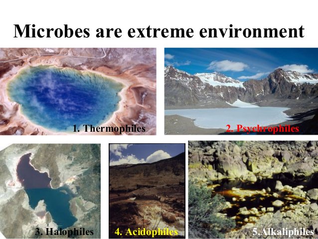 envi_microb's tweet photo. How Microbes Thrive in Harsh Environments #Astrobiology #microbesproteins
Access here: https://t.co/Cr8sYZMRxf / https://t.co/dOmTOzxPFl https://t.co/mq6TgaOtJo