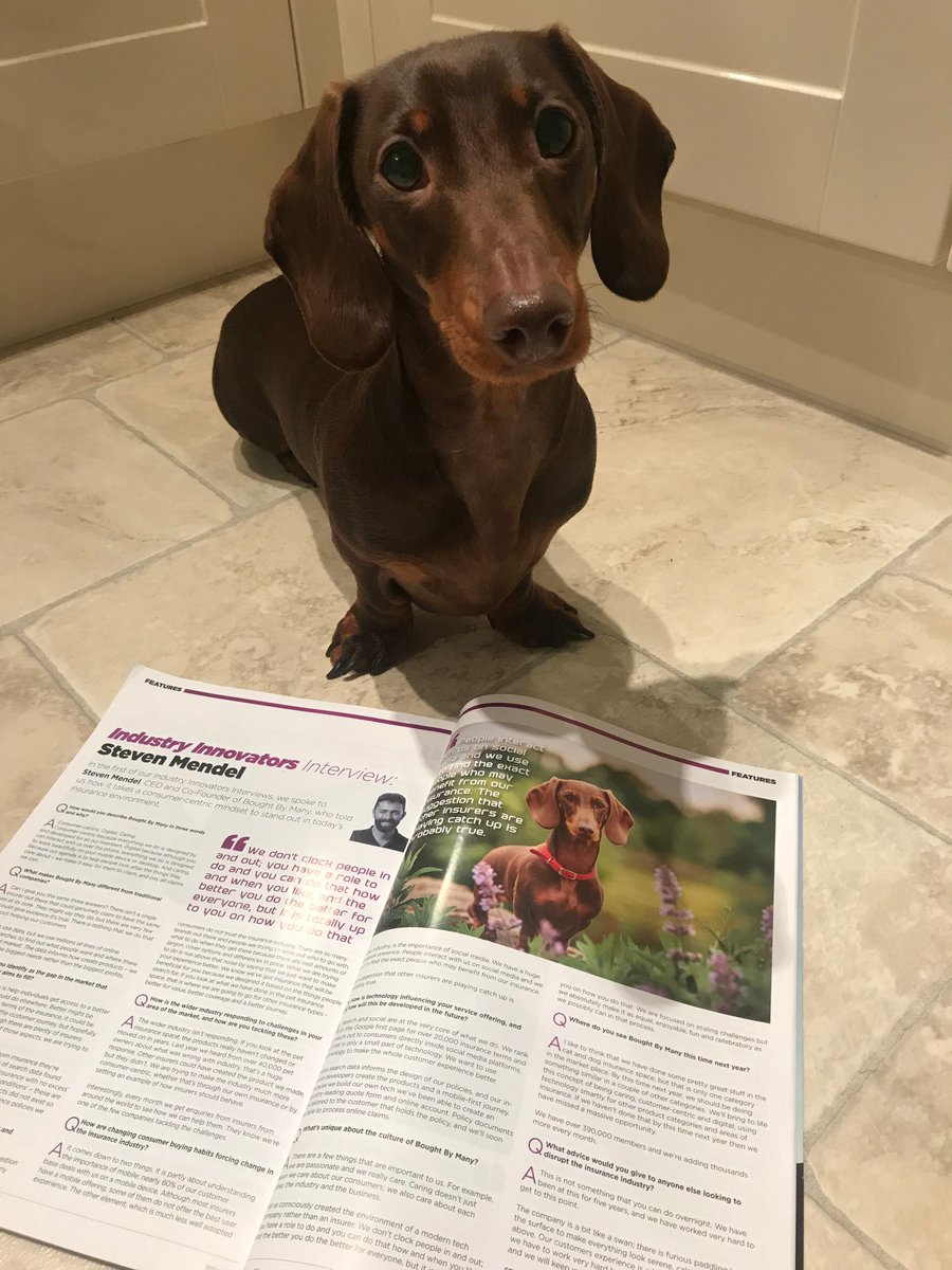 ModInsuranceMag's tweet photo. The real life dachshund meets himself in the magazine with Steven Mendel from @boughtbymany #ModernInsuranceMagazine #CustomerCentric #Insurance #PetInsurance #MondayMotivation https://t.co/JITgX59RZS