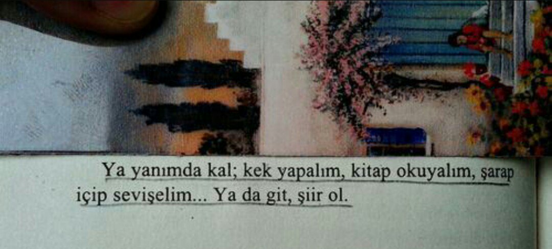 Ya yanımda kal; kek yapalım, kitap okuyalım, şarap içip sevişelim... Ya da git, şiir ol.