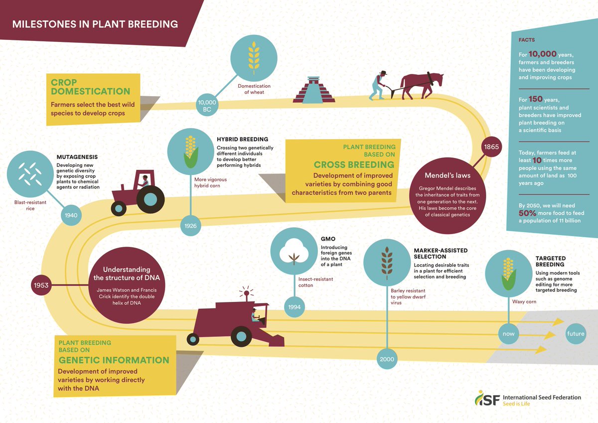 Ag Biotech (@agbiotech) on Twitter photo Here's a history lesson for you 🤓: farmers have been domesticating crops WAY before GMOs hit the market. <a href="/GMOAnswers/">GMOAnswers</a>
<a href="/Better_Seed/">American Seed (ASTA)</a> <a href="/SeedFed/">International Seed Federation</a> Here's a history lesson for you 🤓: farmers have been domesticating crops WAY before GMOs hit the market. <a href="/GMOAnswers/">GMOAnswers</a>
<a href="/Better_Seed/">American Seed (ASTA)</a> <a href="/SeedFed/">International Seed Federation</a>