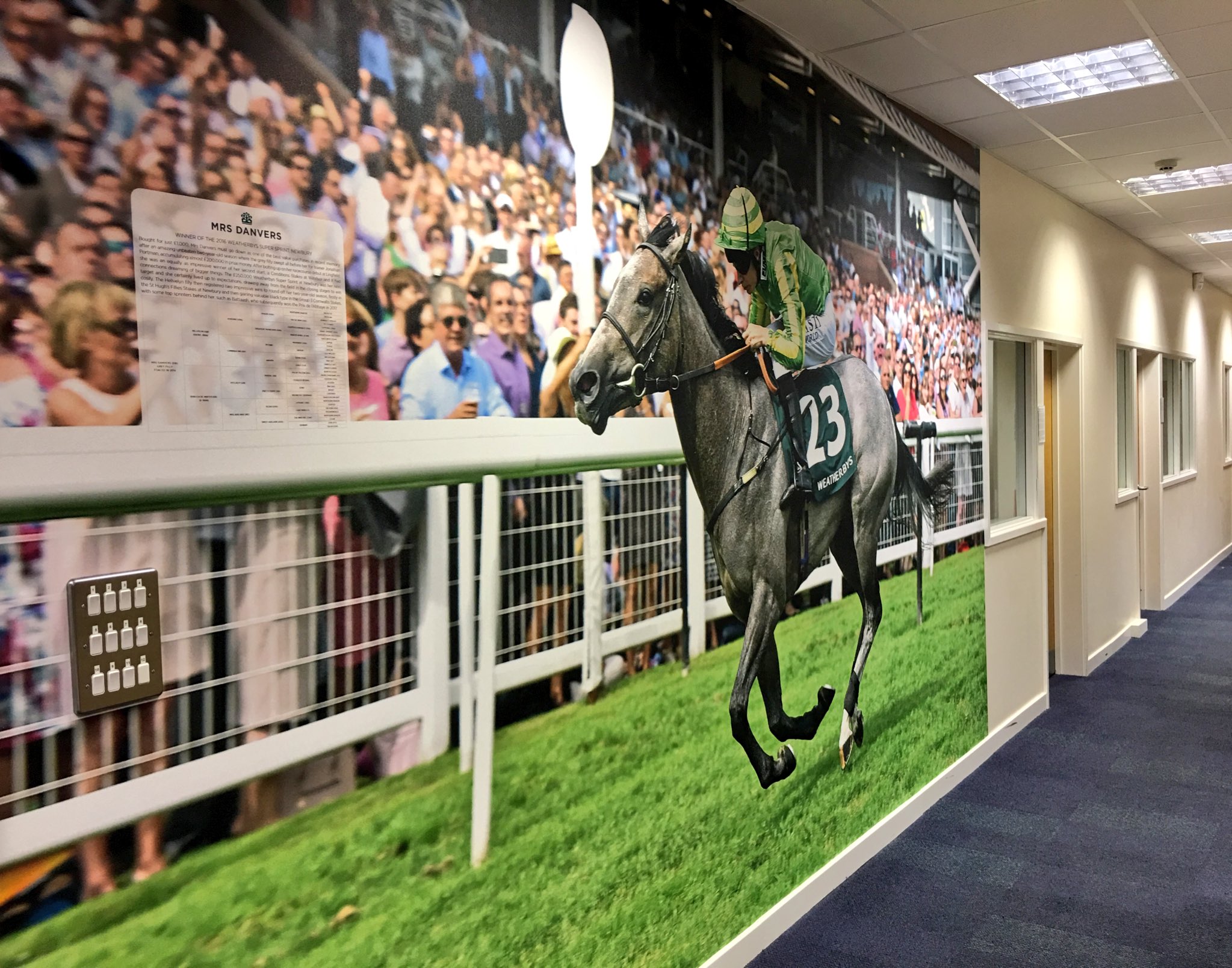 Weatherbys Limited on Twitter "Mrs Danvers enjoyed an unbeaten two