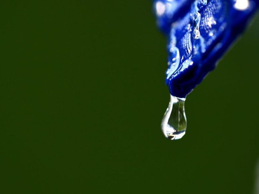 Zehub's tweet image. La #rawwater, l'#eau de source non traitée, nouvelle mode (risquée) aux Etats-Unis sciencesetavenir.fr/nutrition/la-r…