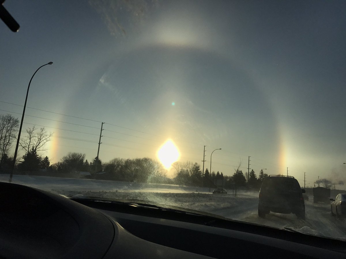 DylanMoll22's tweet image. this is neat