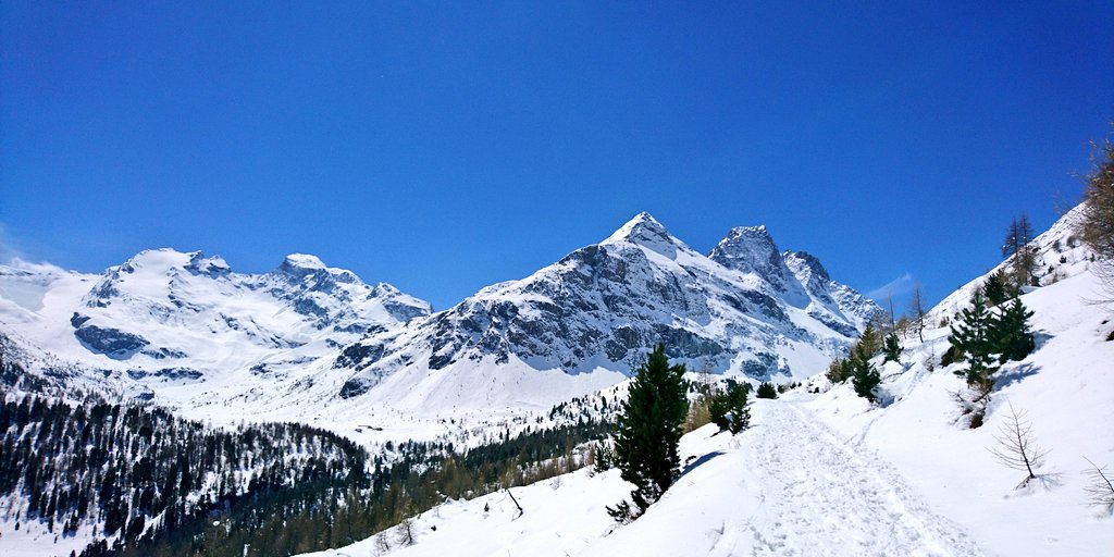 4KStelvio Adventures tweet media