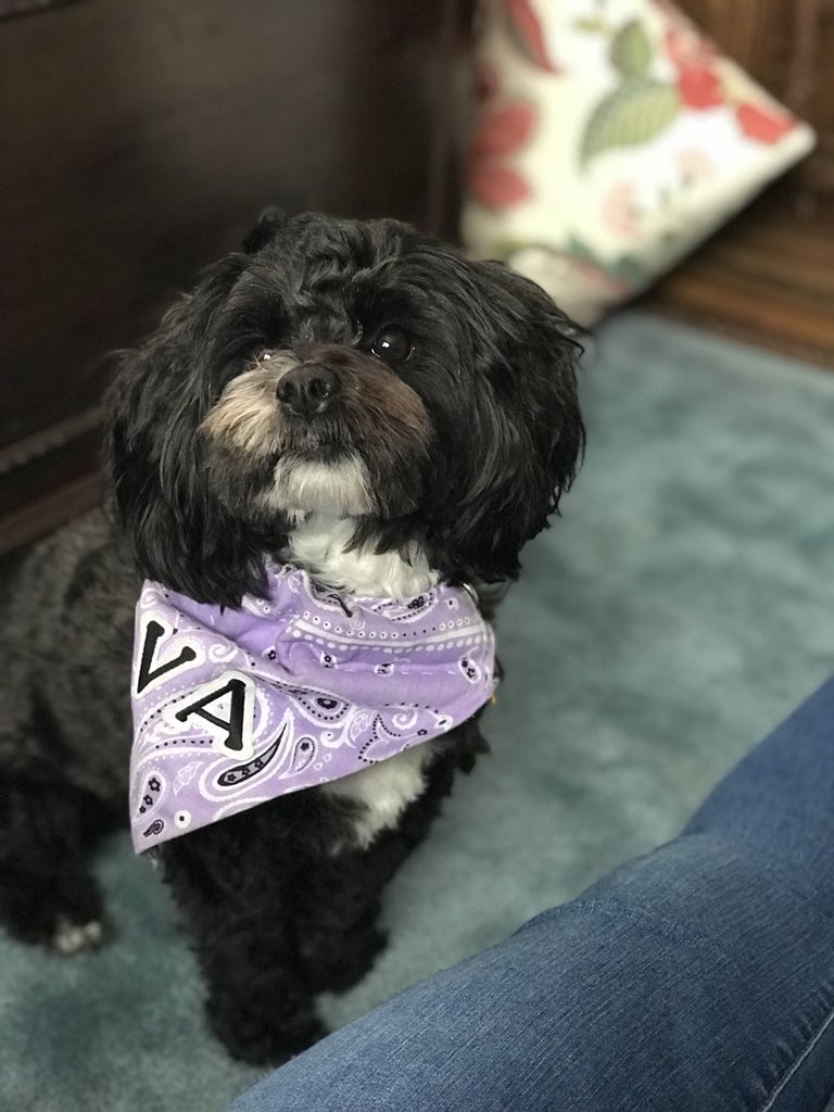 Plouffeeeee's tweet photo. instead of packing to go back to newport i’m just having a photo shoot with ava...i’ve really nailed this whole time management thing i think https://t.co/X1L3pJxOYN