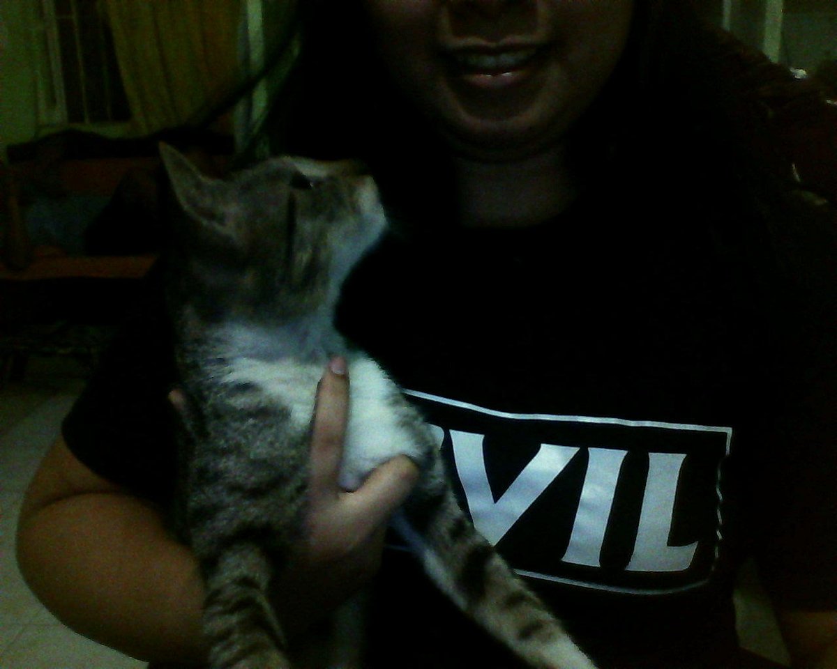 joniallyn's tweet photo. Welcome to our fam Tiger :3 #LoveForStrays they deserve love too, not only the ones with breeds :) https://t.co/5nx1yd0q6d
