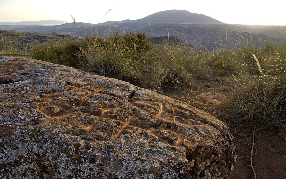 Los petroglifos del Cerro de la Mina (Gorafe #Granada), tienen una antigüedad de 4500 años y fueron grabados en arenisca. Son un total de 5 en los que encontramos representaciones de figuras femeninas y masculinas, del sol y de la luna #Arqueología #Patrimonio #Senderismo
