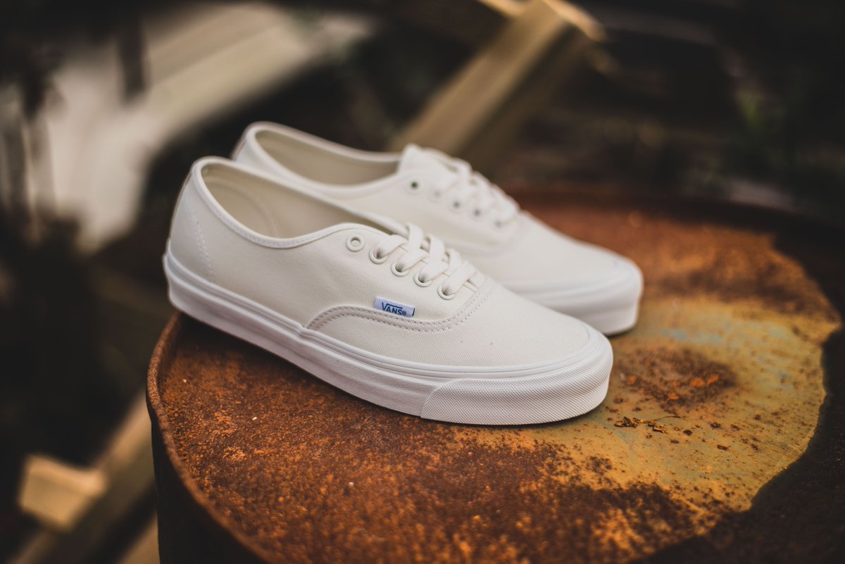 vans authentic og white