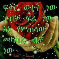 mulu (@mulu02715353) on Twitter photo 