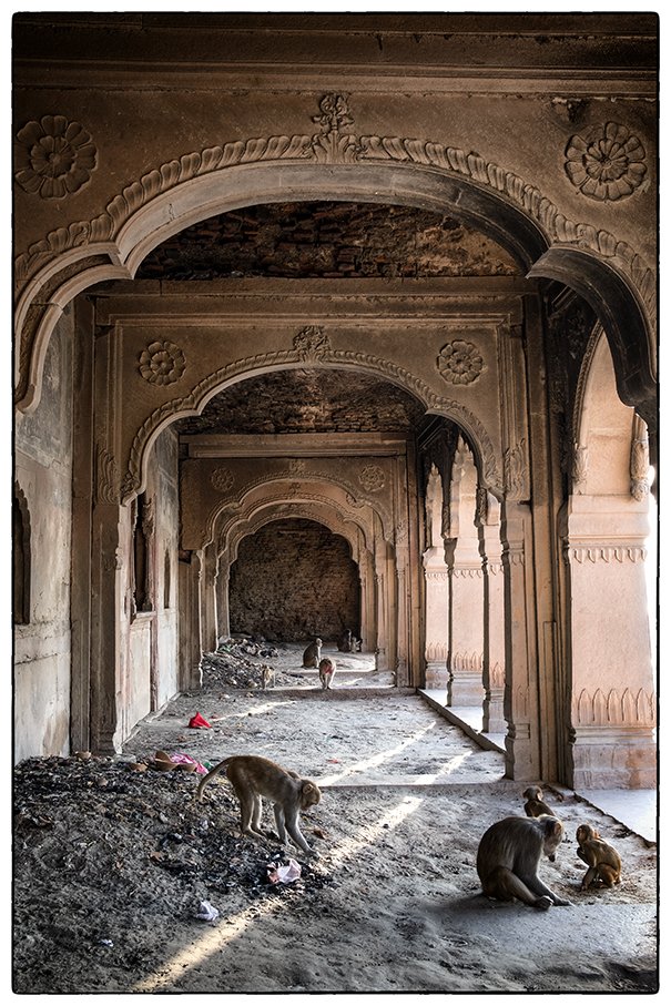 chesterartsfair's tweet photo. Have you seen @peteraphoto India #photography workshops? If you're looking for an exciting trip in September take a look at what he offers... https://t.co/9NLbCTO0va ... His work was admired by all at #CAF17 https://t.co/I6orYBPkpz
