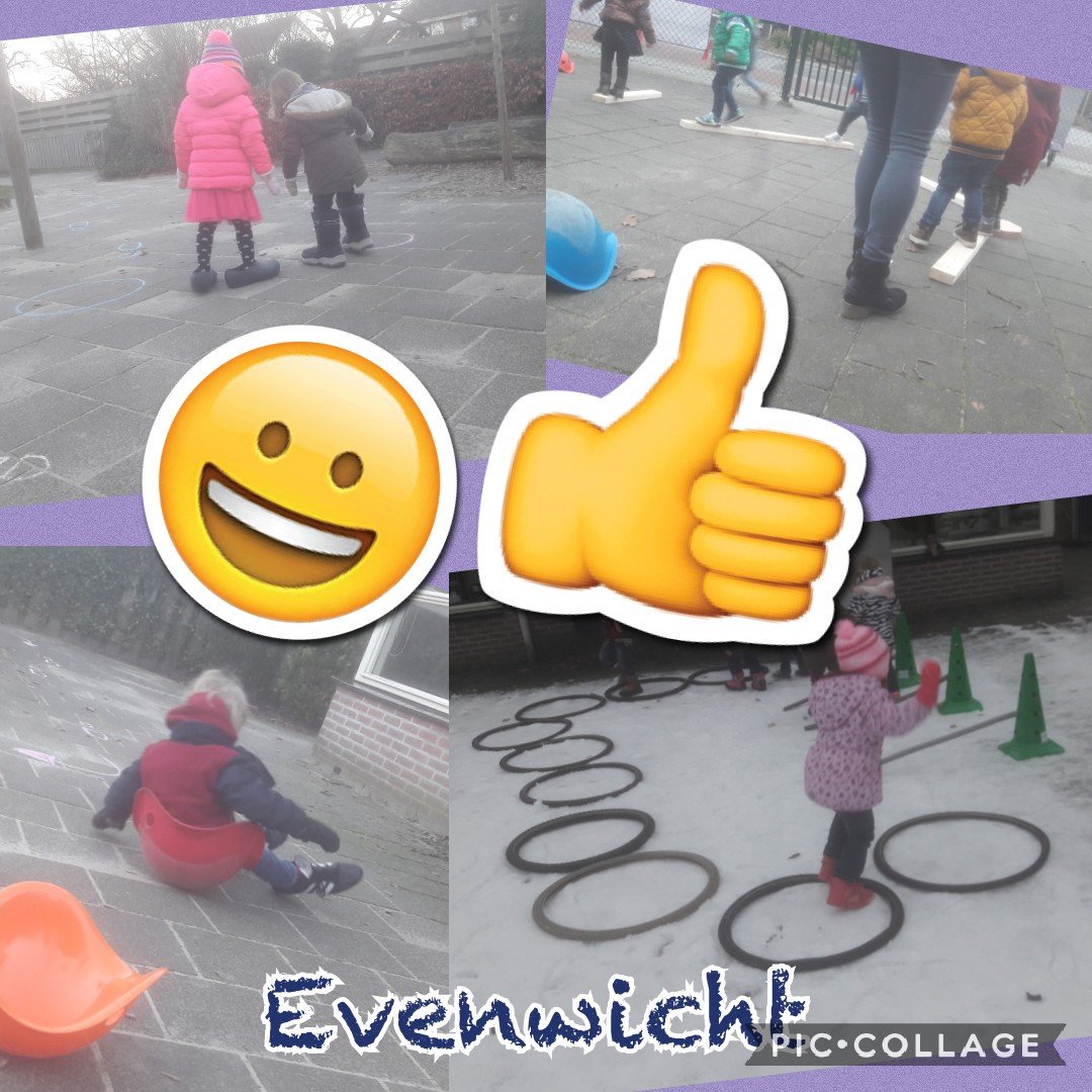 Wat hebben de peuters van Partou de afgelopen weken hard gewerkt! Het thema evenwicht is super gegaan! #partou #borculo #beweegwijs