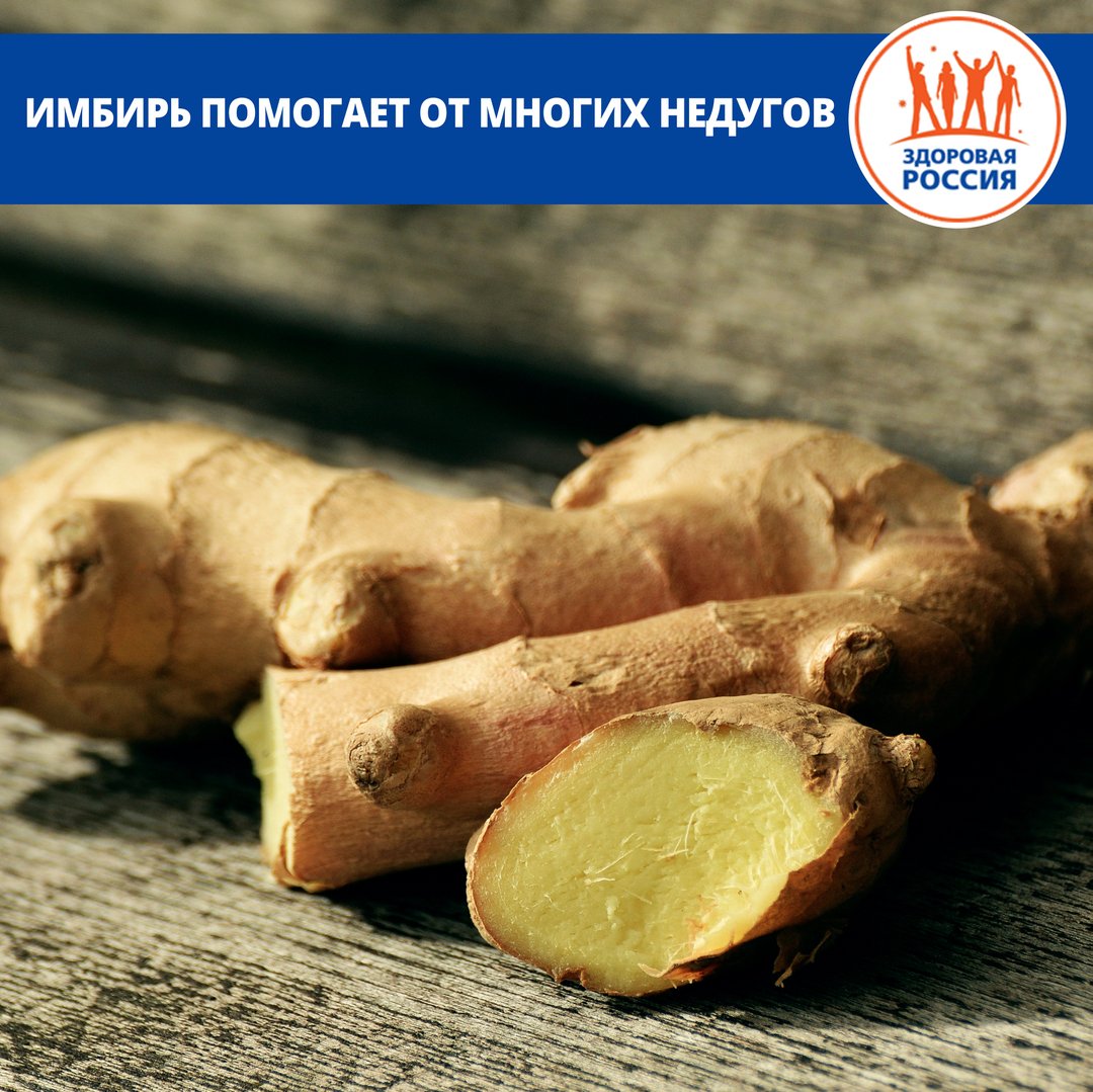 Популярная в кухнях разных стран мира приправа оказывает противовоспалительный эффект при артрите. Последние исследования показали, что имбирь может снижать болевой эффект при заболевании суставов takzdorovo.ru/pitanie/imbir-… #такздорово #будьтездоровы #здоровыйобразжизни #ЯзаЗОЖ #зож