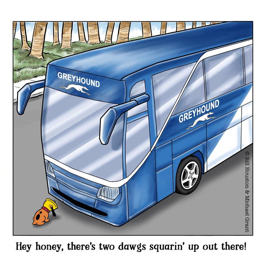 hackmanthedog's tweet photo. Let the battle commence!
#greyhound #spaniel #greyhoundcoaches #myturf #doggydisagreements #transportation #dogsoftwitter #petsoftwitter #comic #comicbook #comicart #comicstrip #mondaymotivation #mondaylaughs https://t.co/8IjxqvKyik