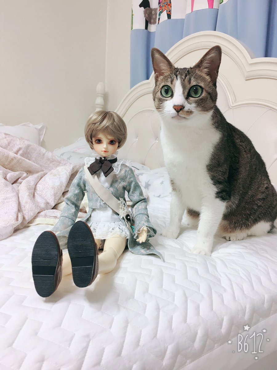 taira78_bjd's tweet photo. 간만에 새옷 질러주고 새가발도 와서 갈아입히고 침대에서 둥기둥기 하는데 알이가 옆에 가만히 앉아버림 ㅋ
#dod #doddoll #doll #bjd #bjddoll #newcloth #msd #bjdmakeup #헤이짱 #왕자님 #밥알이 #withcat https://t.co/0GKePe2tOQ