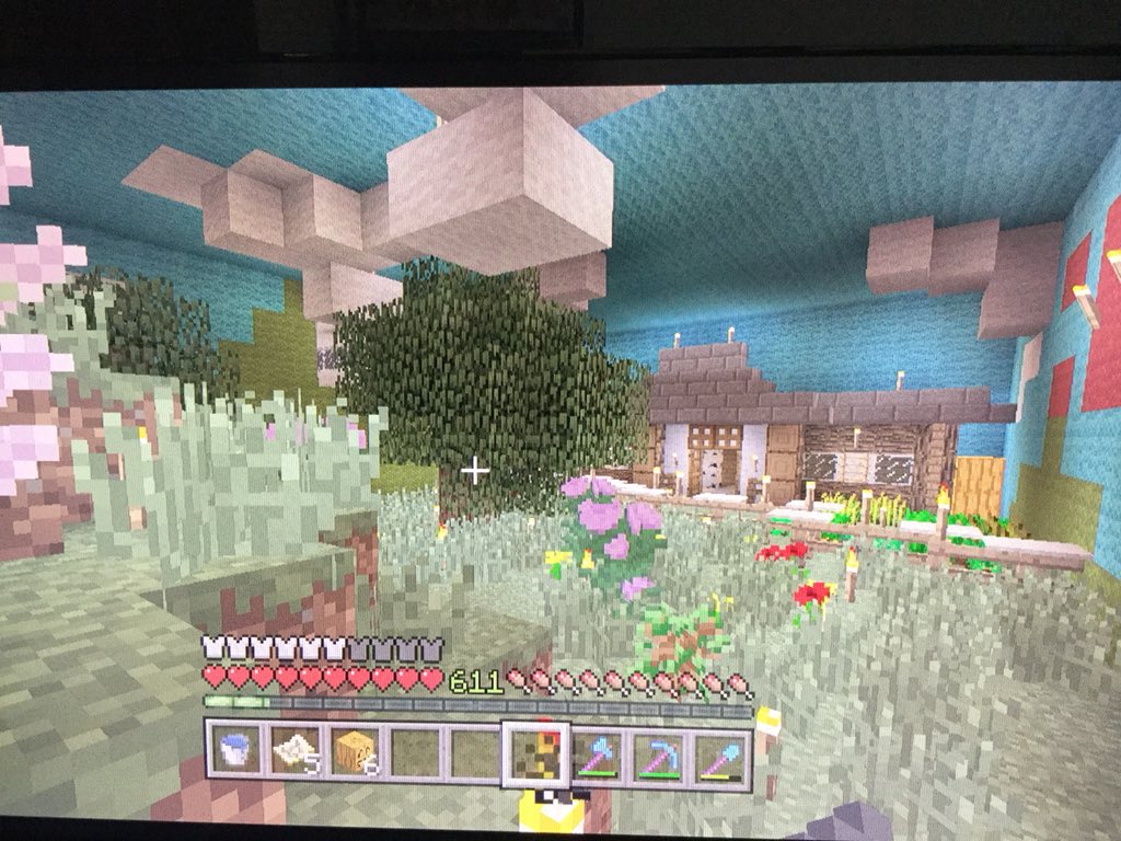 マイクラwiiu