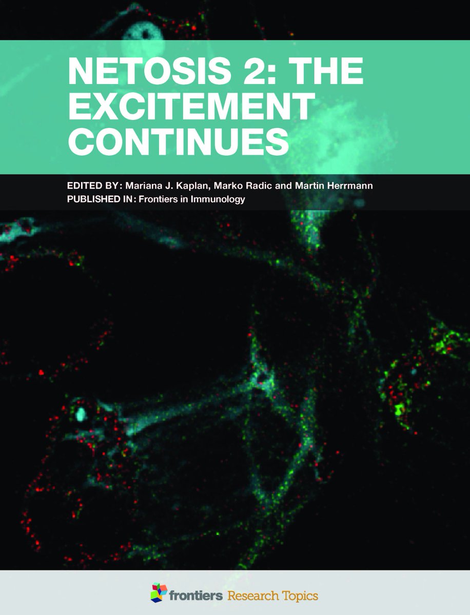 free propagation dynamics on complex networks models methods and stability