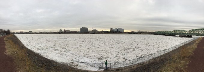 Ver imagem no Twitter