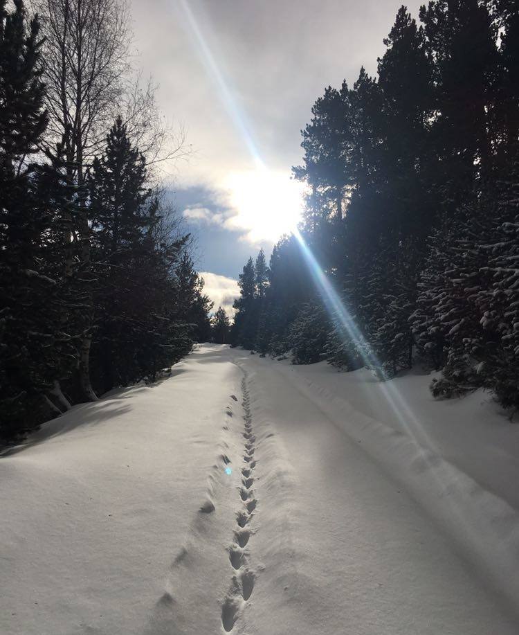 Que ça donne envie ! Merci <a href="/PassionCatalan/">PassionnémentCatalan</a> pour ces belles photos !
#PaysCatalan 
<a href="/Magnifique_FR/">MagnifiqueFrance</a>