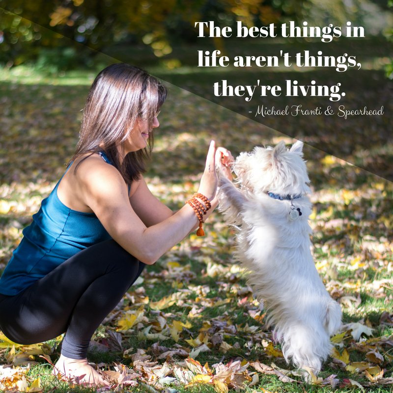 Yogarific's tweet photo. I could extract a dozen #inspirationalquotes from each of Michael Franti  songs. I’m filled with #gratitude when I think of all the best living “things” in my life. 
.
.
.
.
#yogarific #motivationalmondays #dogsofinstragram https://t.co/UUQFCKvXON
