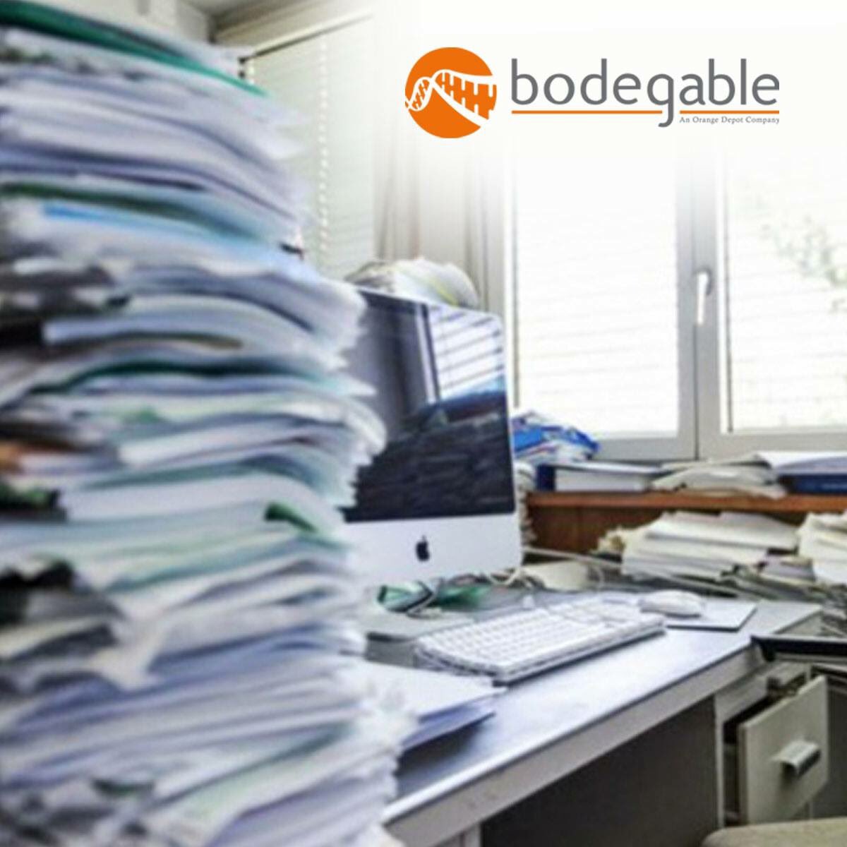 BodegableGDL's tweet photo. La importancia de archivar y digitalizar los documentos es super importante ya que es mas facil encontrar la informacion de cualquier cosa como la informacion que maneja una empresa para manejar sus documentos. 
#Bodegable lo pone en orden todo y a la mano. https://t.co/2WM9muuJwv