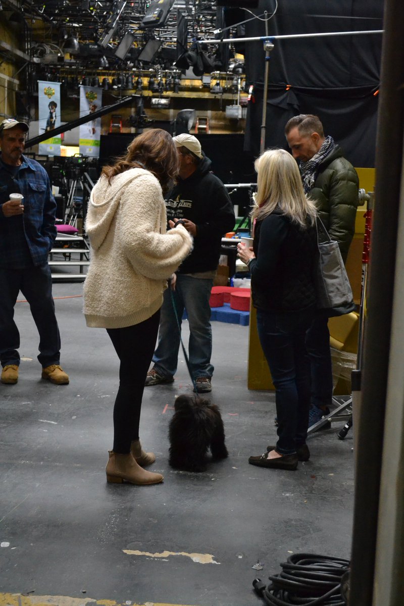 AnnBrookesCT's tweet photo. Backstage at #PuppyBowl for pre-records with #GregMahle, #ShaggyDogRescue's Tyler, the network's superwoman PA, Alex, + Puppy Bowl team. It was an early call!
#TeamTyler
@RescueRoadTrips https://t.co/YiZ0xDc9XJ