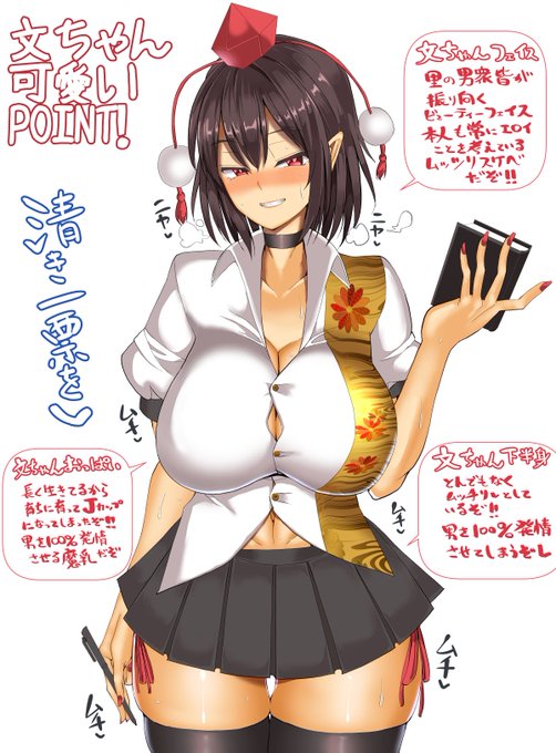 東方Project人気投票14支援!文ちゃんに清き一票を #toho_vote14 