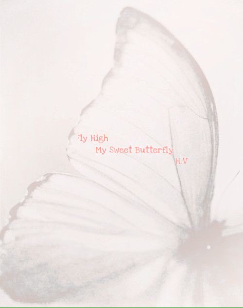 mireyd_cif's tweet image. Fly high my sweet butterflie ...H.V❣#TeVeoPronto #UnDiaMenos #SafeWithGod 🙏🏻 🎀🌈