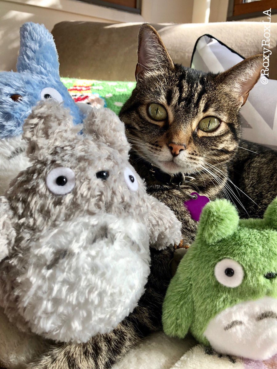 RoxyRoxLA tweet media