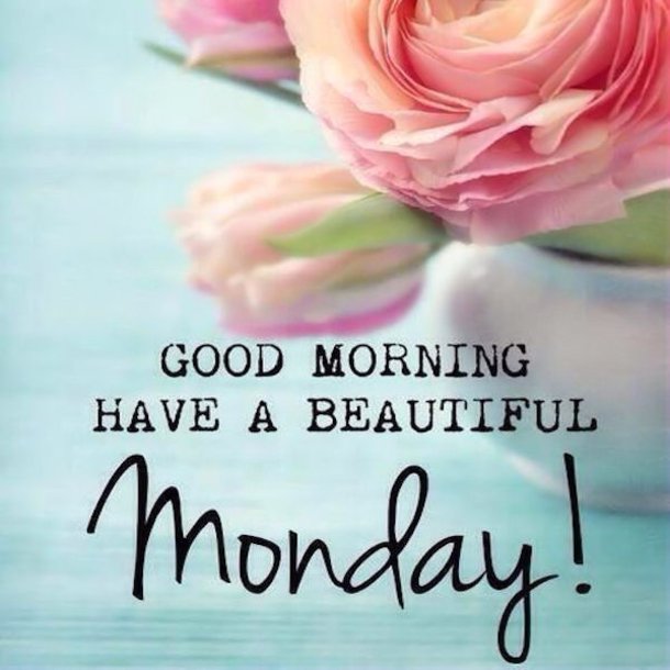 HotelHex's tweet photo. ¡Buenos días! https://t.co/RMtcaP146F