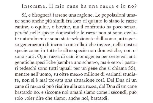 «Siamo, anche noi, bastardi».
Guido Barbujani, «Invece della razza», in CONTRO IL RAZZISMO, a cura di Marco Aime.