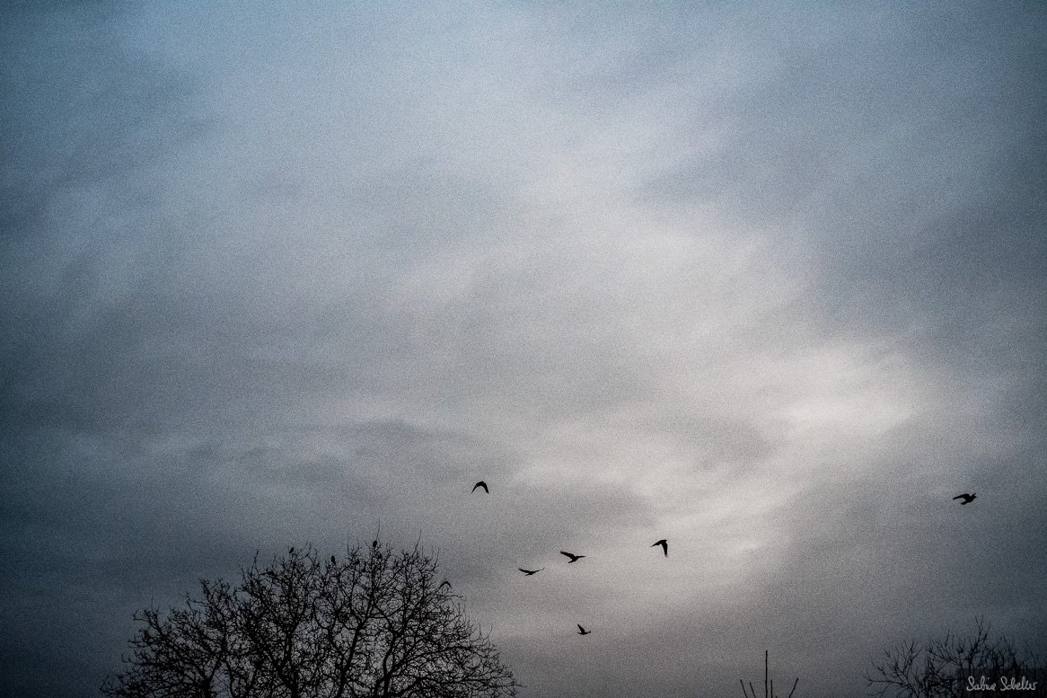 Wetter. #photography #documentary #fujifilm #fujixe3 #zeiss35mm