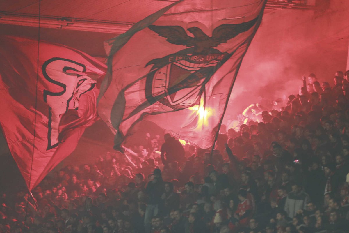 SouBenfica1904's tweet photo. "Em todo o Mundo não existe amor igual..." #SejaOndeFor #SCBxSLB https://t.co/GNTRq6OjZC