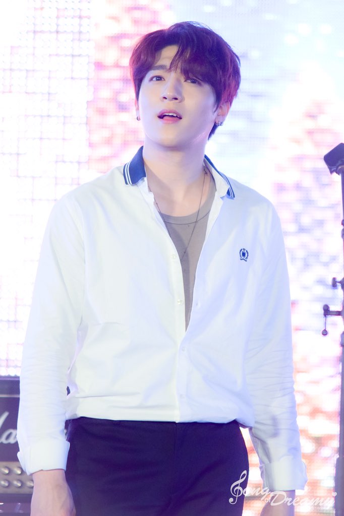 Song of Dreamy tweet media